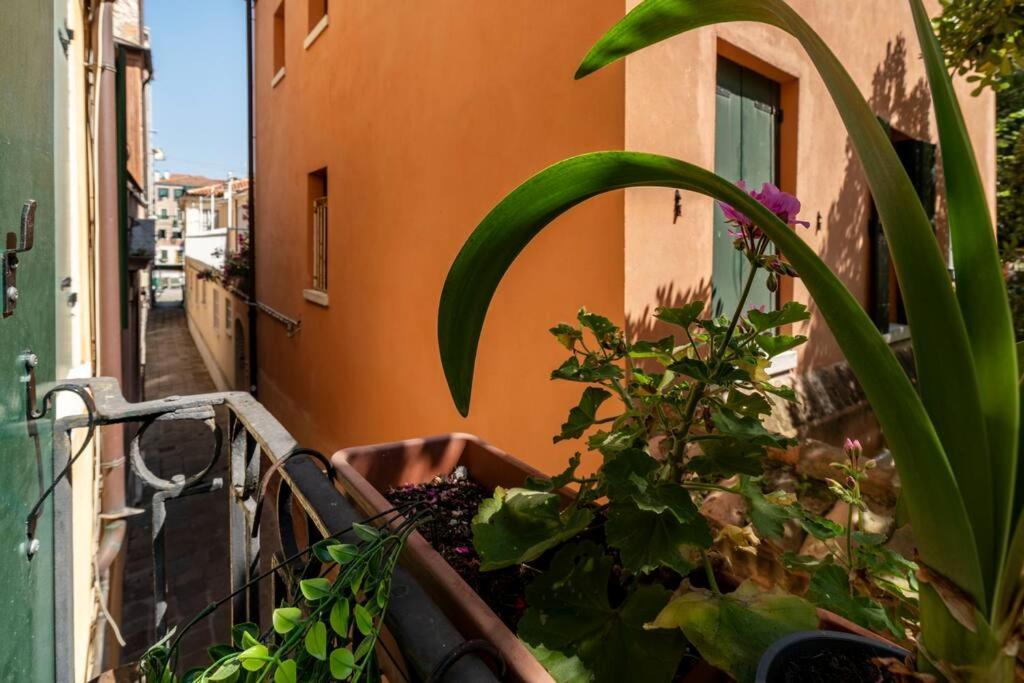 Ca' Mandorla 027042Loc09523 Apartamento Veneza Exterior foto